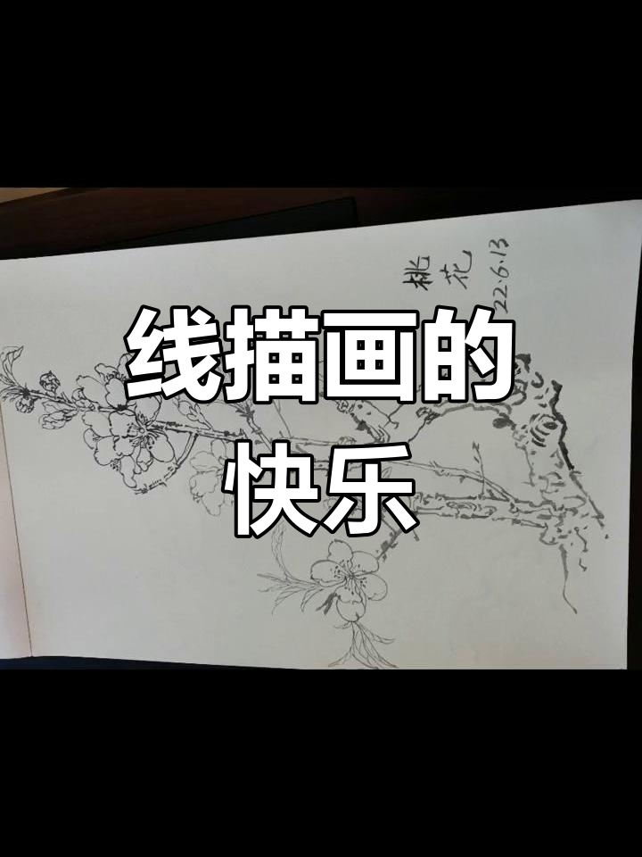 黑白线描画:静心享受创作的乐趣