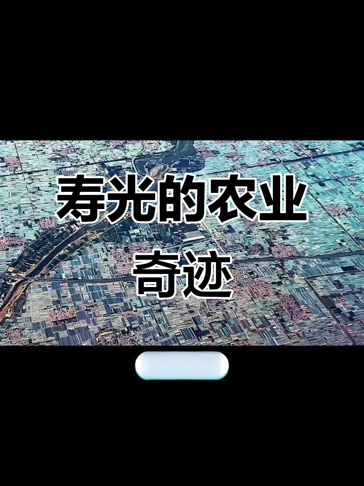 寿光：从蔬菜大棚到农业基地，探秘山东的神奇转变