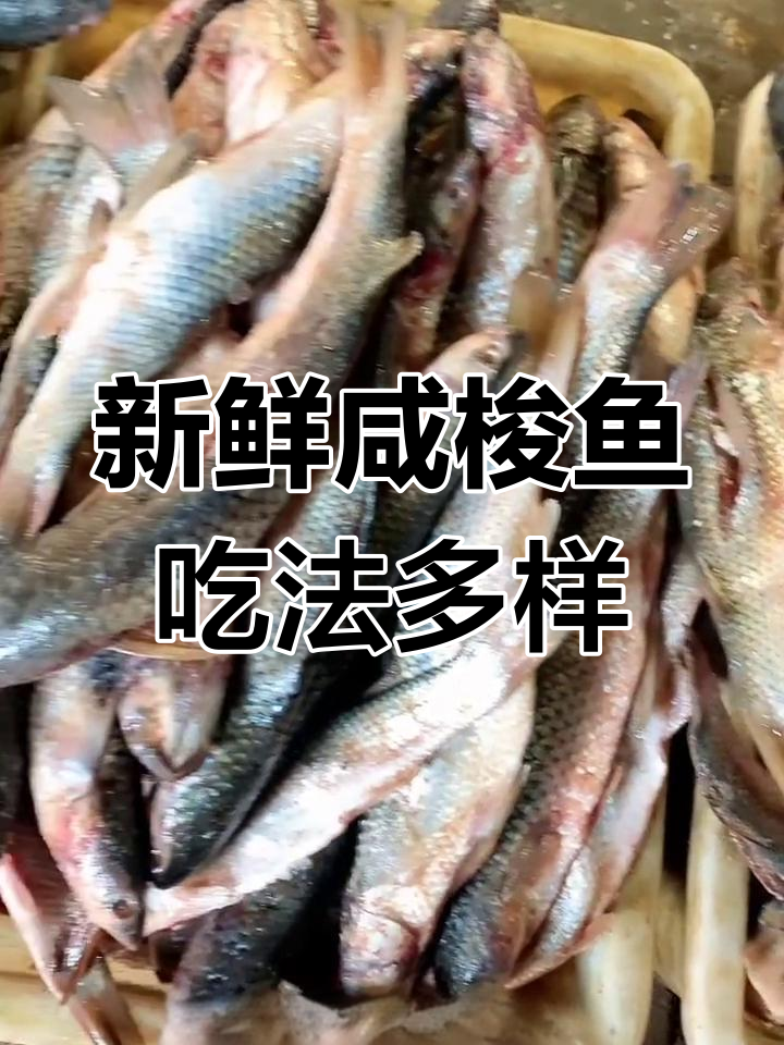 咸梭鱼多种做法,煎炸炖煮任你选