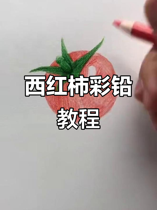 彩铅西红柿画法全解析,零基础也能轻松上手