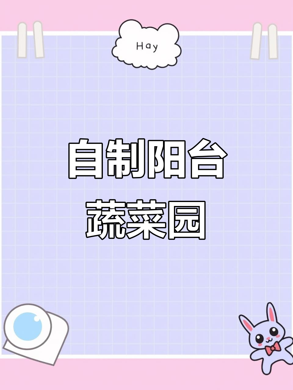 阳台种菜全攻略:废旧塑料瓶变蔬菜园,零花费超简单