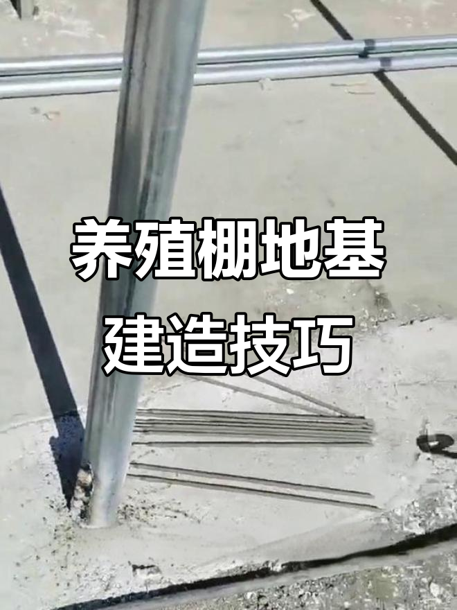 养鸡大棚基础做法揭秘,稳固耐用设计全解析