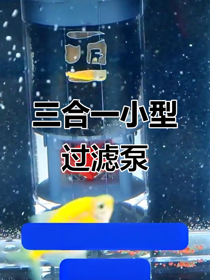 小巧三合一过滤器,鱼缸循环水泵与制氧系统一体设计