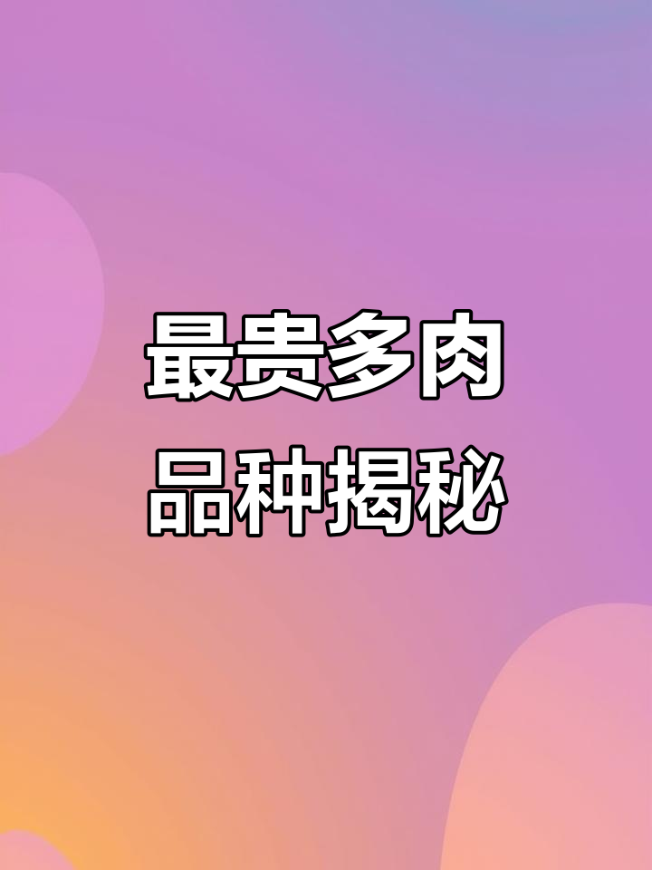 盘点最贵的多肉植物,剑丝弄娃、白皮月界等都在其中