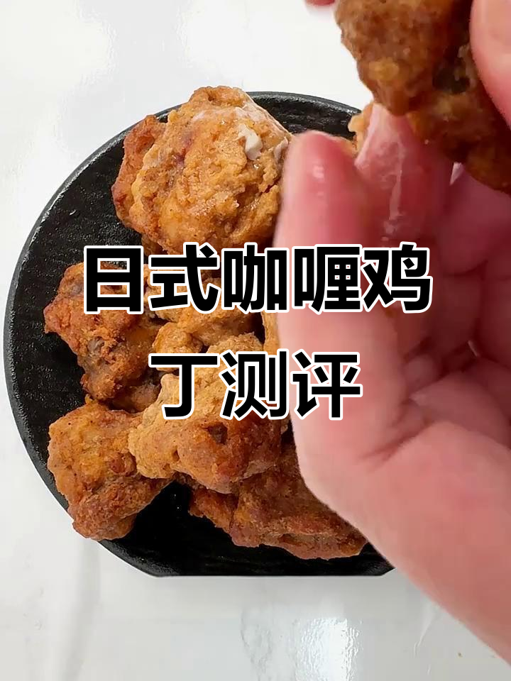 番茄牛腩、日式咖喱鸡丁与辣卤炸鸡块评测:口感与配料分析