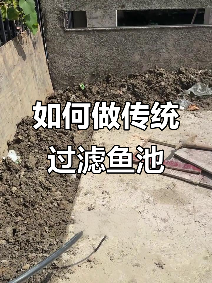 传统过滤鱼池全解析:从沉淀到循环水系统设计