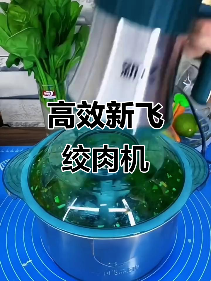 新飞绞肉机,包饺子更轻松,噪音低、寿命长