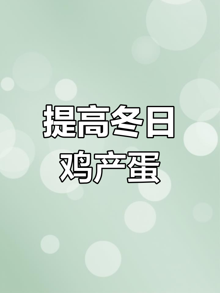 冬季如何提高鸡产蛋量?这些方法让母鸡多下蛋
