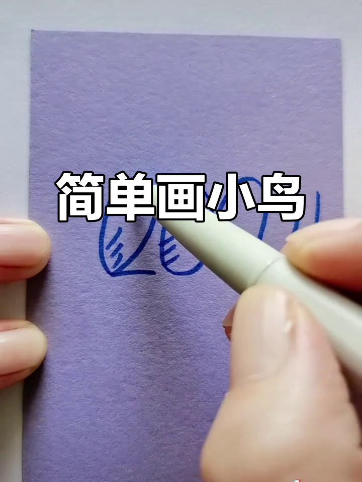 用简笔画轻松画出两只小鸟,翅膀、尾巴和爱心全搞定