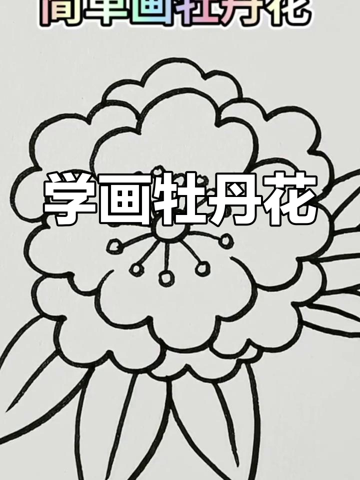 牡丹花简笔画教程,轻松学会画美丽花朵