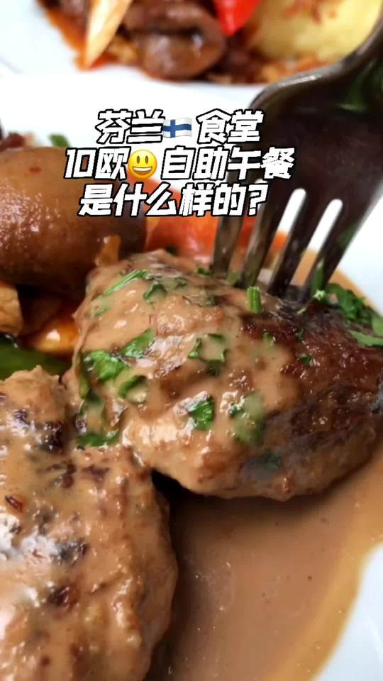 芬兰自助食堂：巨肉丸流心奶油鱼肉卷任吃