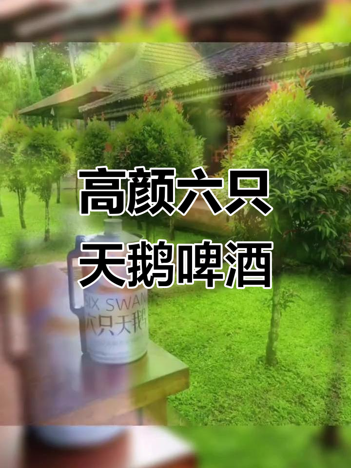 六只天鹅啤酒,颜值超高!喝上一口仿佛置身美景之中