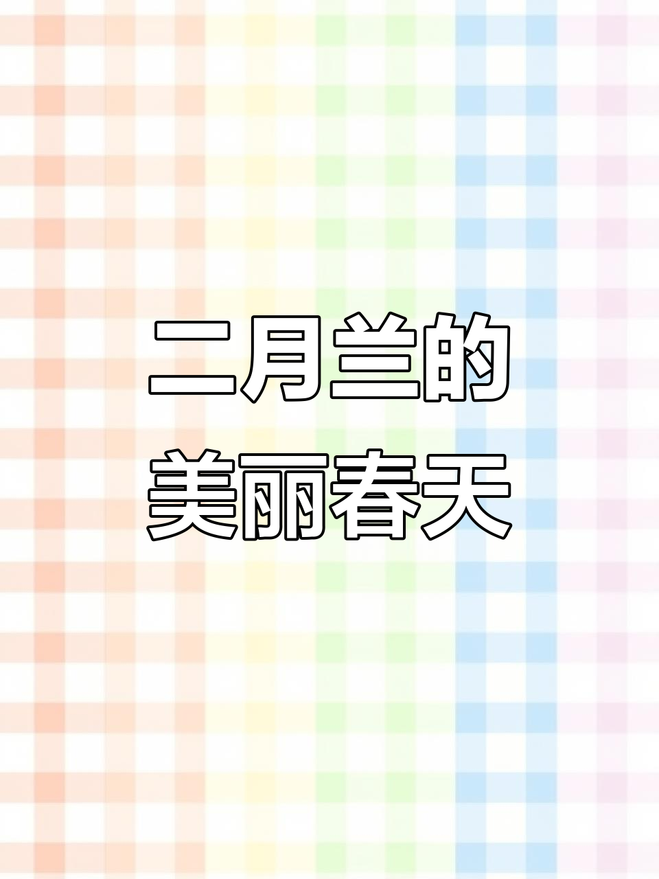 诸葛菜:春日里的紫白花朵,清新淡雅