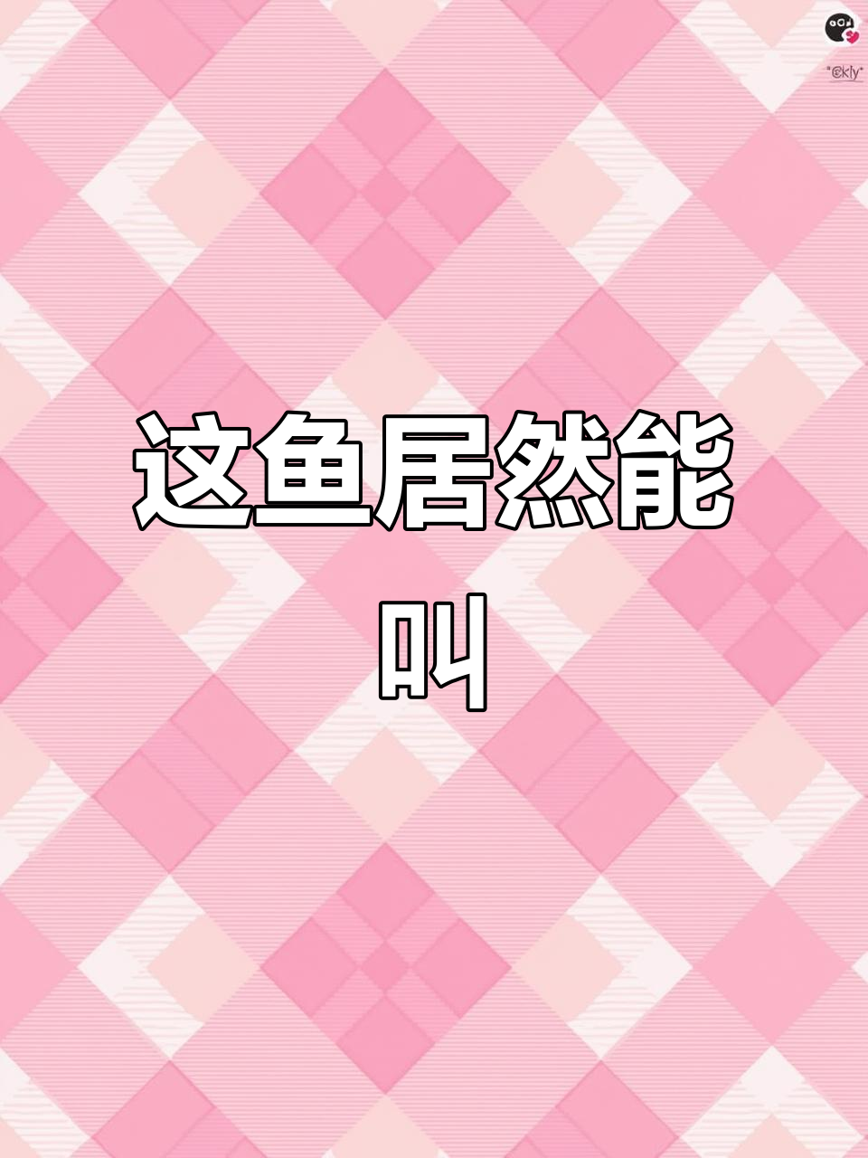 刚买的黄金招财猫鱼竟然会叫,吓我一跳!