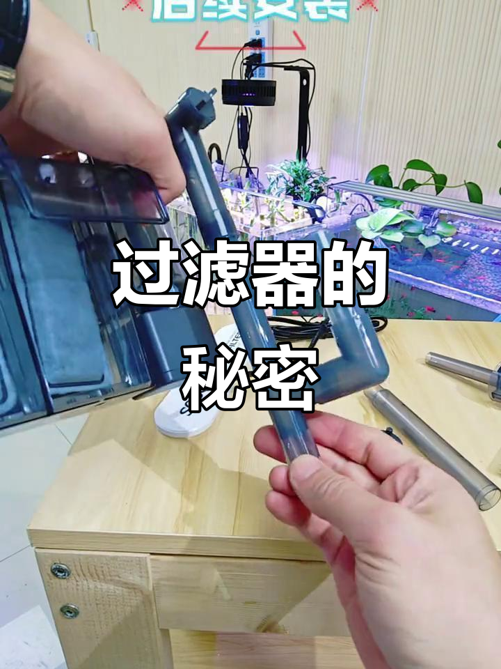 安装与使用建议：松宝壁挂瀑布过滤器全解析
