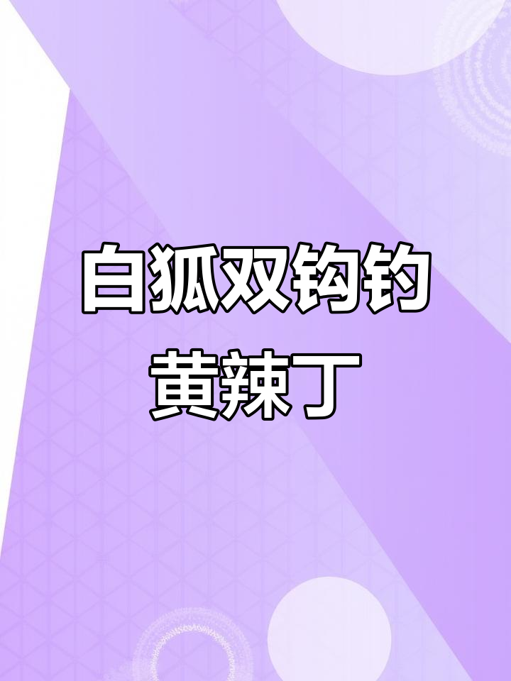 白狐鱼钩:专为黄辣丁设计,锋利又易取