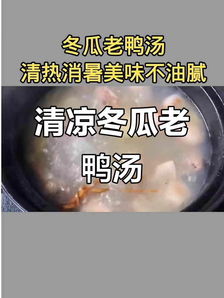 冬瓜老鸭汤,清热消暑又美味,家常做法大公开