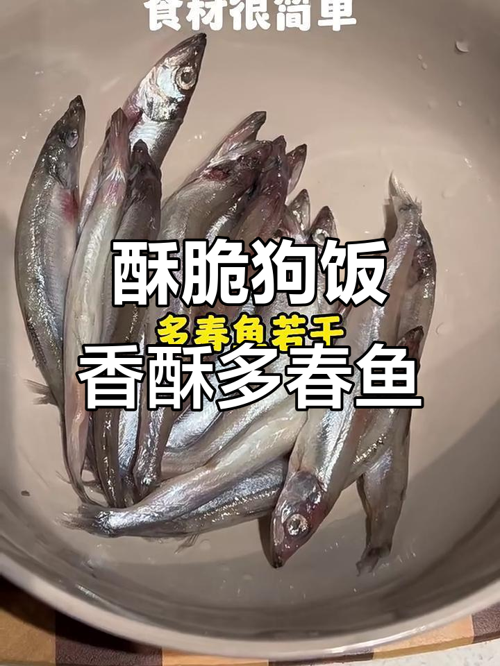 自制香酥多春鱼,狗狗鲜食新挑战