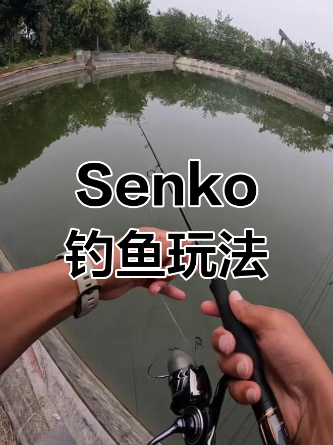 3寸Senko钓鲈鱼两种技巧