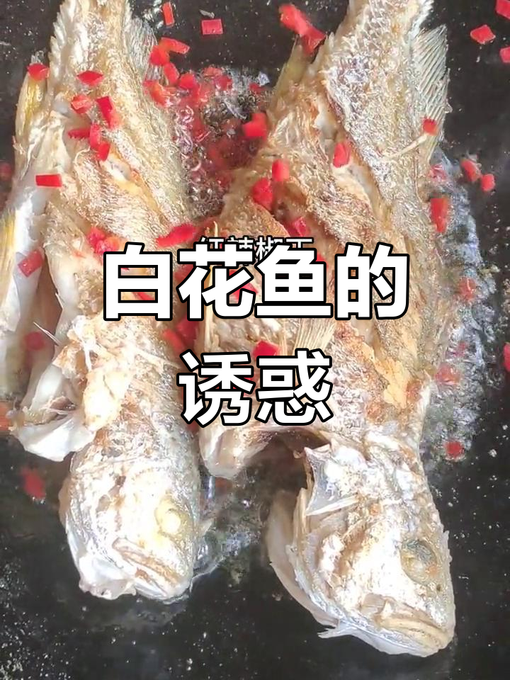 香煎白花鱼,外脆内嫩,香气扑鼻,四季皆宜
