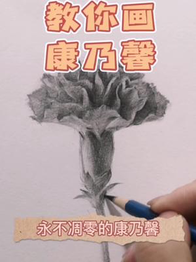 教大家画一支永不凋零的康乃馨送给母亲大人,祝福所有妈妈平安喜乐 素描 绘画 素描基础 画画