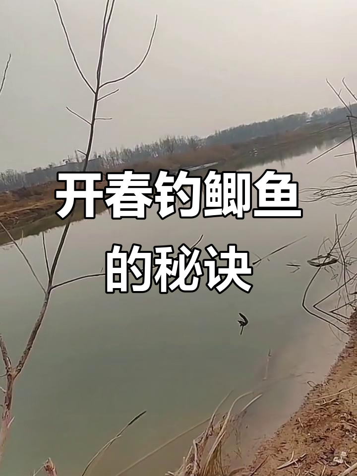 春季钓鲫鱼技巧大揭秘,如何选择合适的钓鱼地点和时机