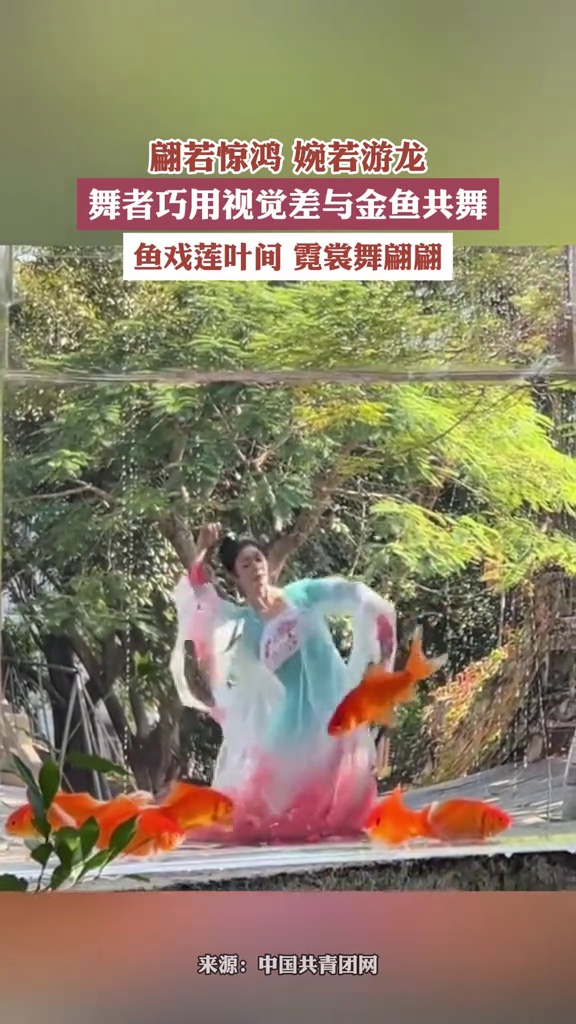 舞者巧用视觉差与金鱼共舞,鱼戏莲叶间,霓裳舞翩翩