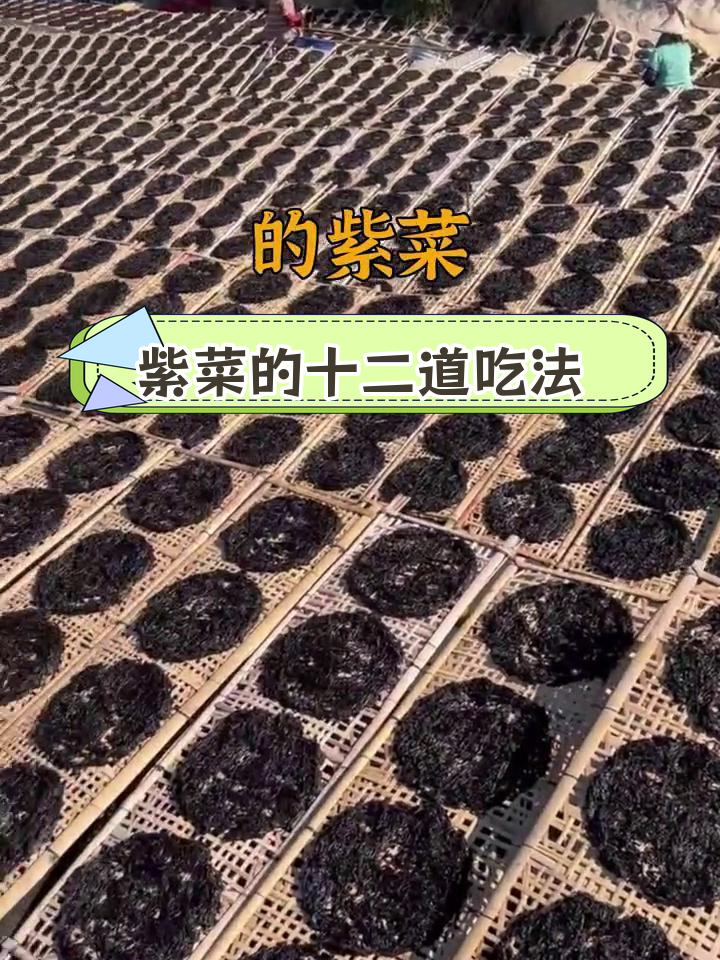 紫菜12种美味做法,轻松学做家常菜