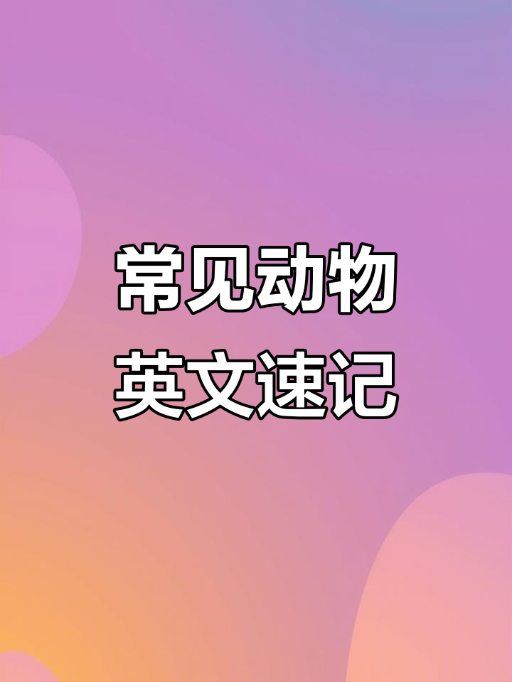 动物英文大集合:从蝴蝶到鲸鱼,一学就会!