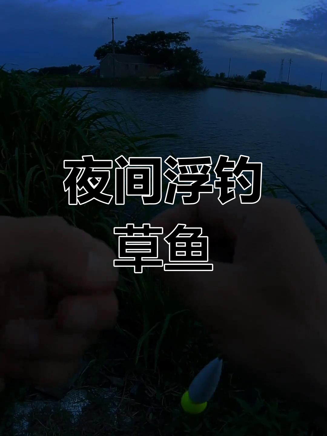 夜钓草鱼大作战,浮钓技巧全揭秘