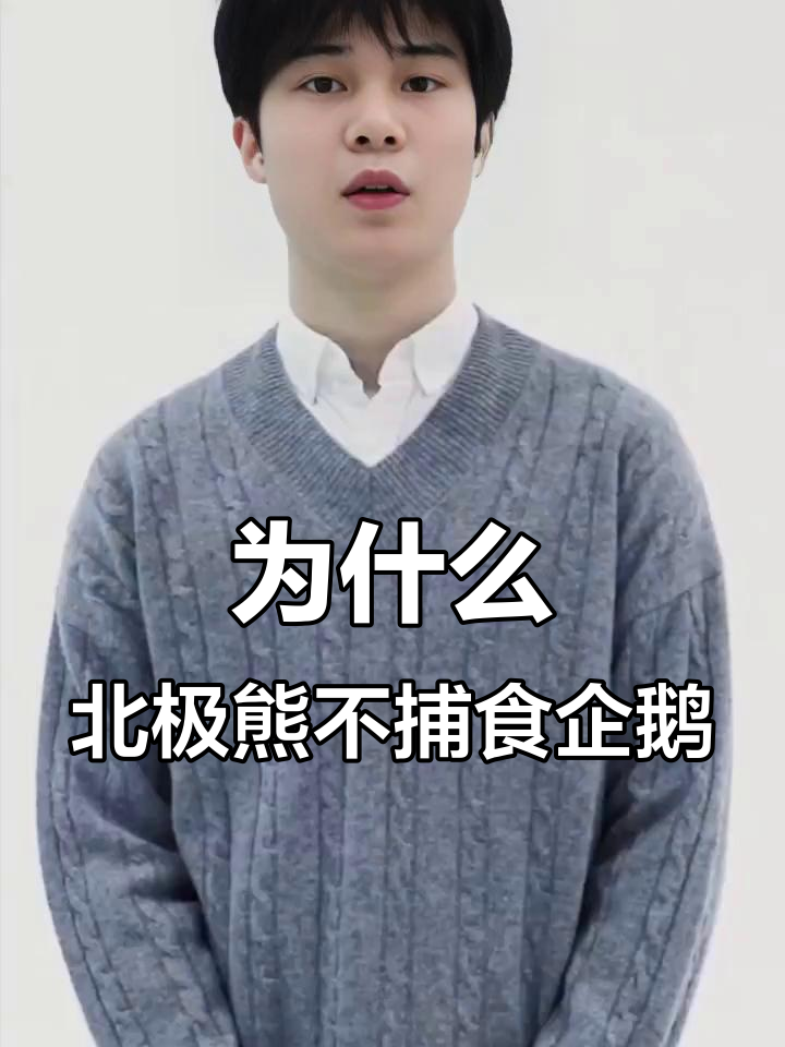 北极熊为何不吃企鹅？揭秘冷知识背后的真相