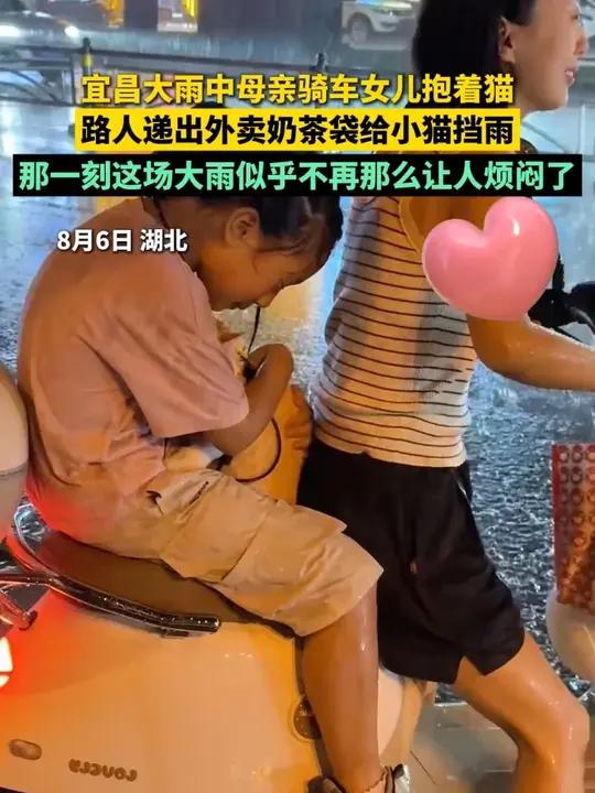 大雨中母亲骑车女儿抱着猫,路人递出外卖奶茶袋给小猫挡雨“那一刻这场大雨似乎不再那么让人烦闷