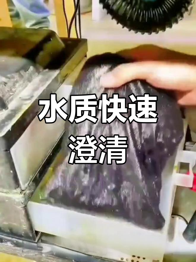 鱼缸水浑浊?放活性炭,一晚恢复清澈!