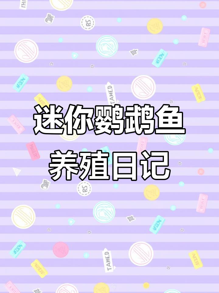 两周没喂鱼，迷你鹦鹉幼虫成长记