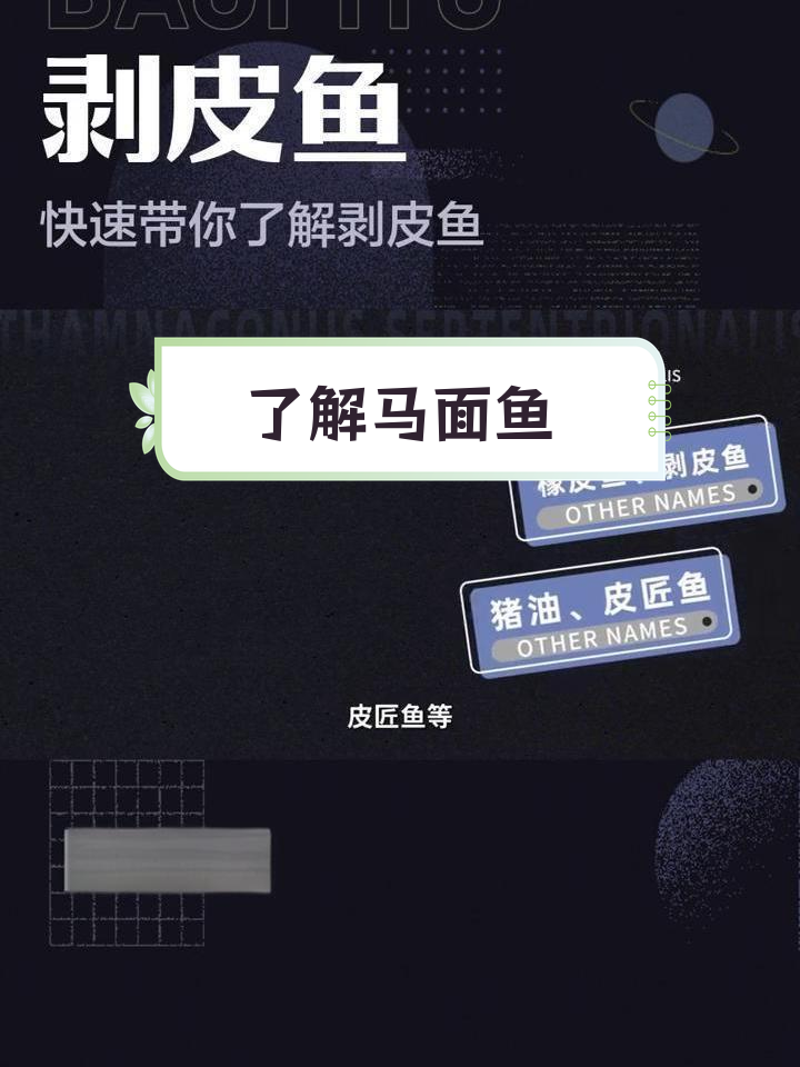 马面鱼:多种叫法与用途