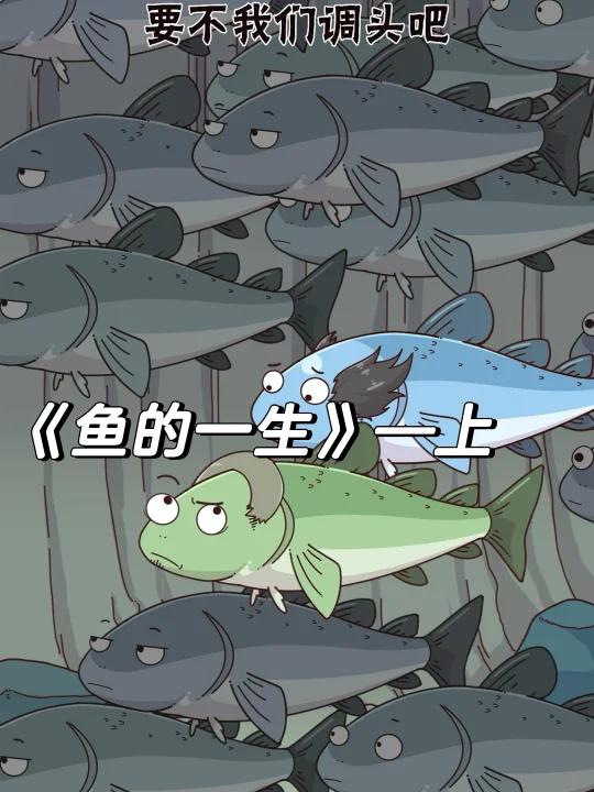 《鱼的一生》—上