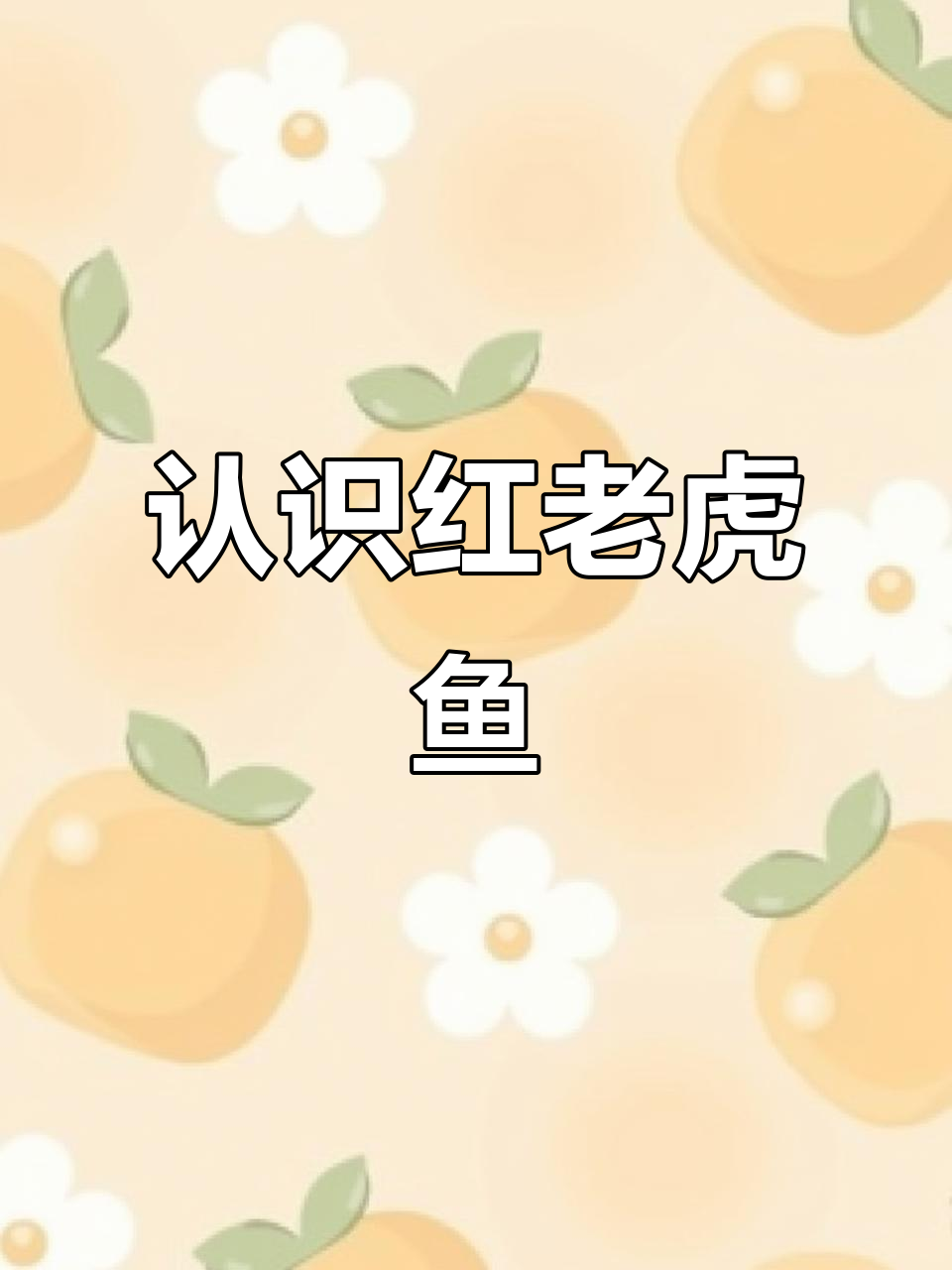 红老虎鱼：凶猛观赏与食用并存，了解热带淡水霸主