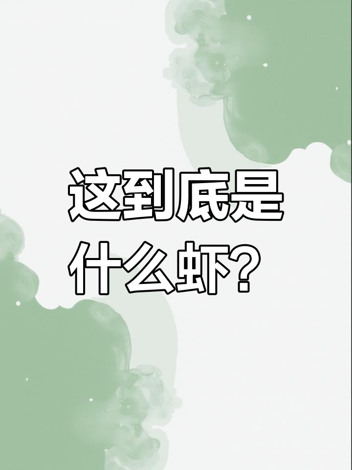 澳洲龙虾与小龙虾的区别揭秘