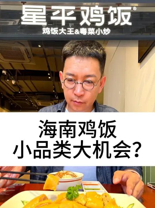 海南鸡饭,小品类,大机会