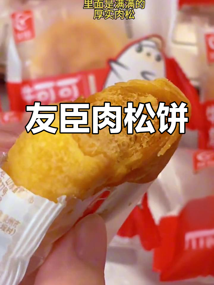 友臣肉松饼,咸香酥脆让人怀念的味道