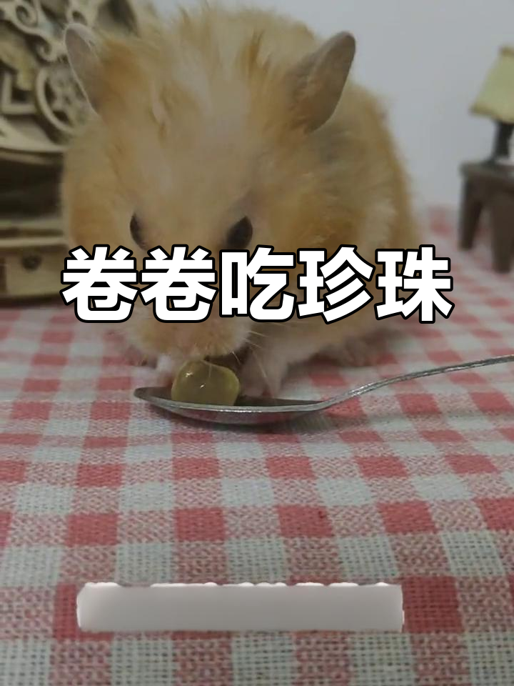 仓鼠也爱奶茶,秋天的第一口
