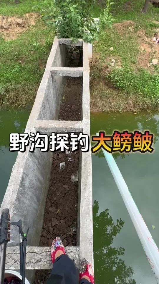 这钓点没点武艺还真钓不了,而且鳑鲏竟然还这么大