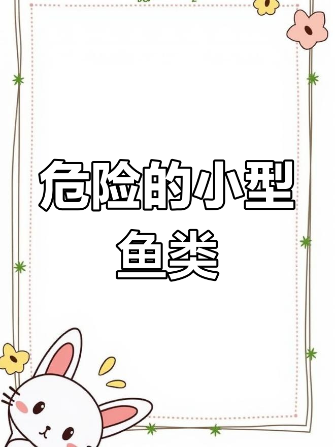小型观赏鱼中的五大凶猛品种
