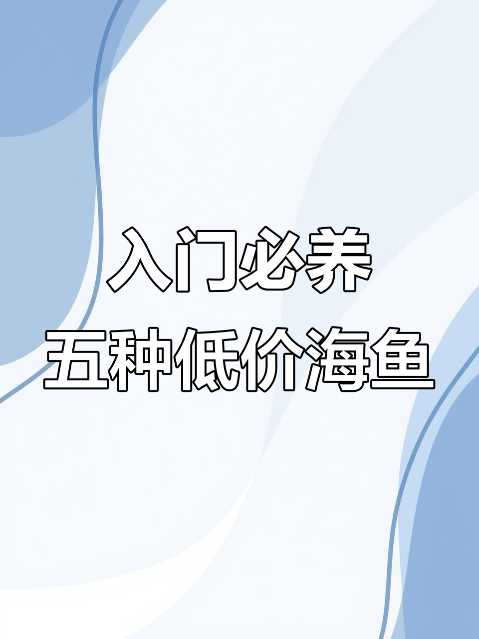 五种超平价海水鱼,适合新手养殖