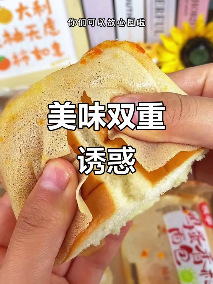 桃李面包，肉松与乳酪完美结合，口感丰富到停不下来！