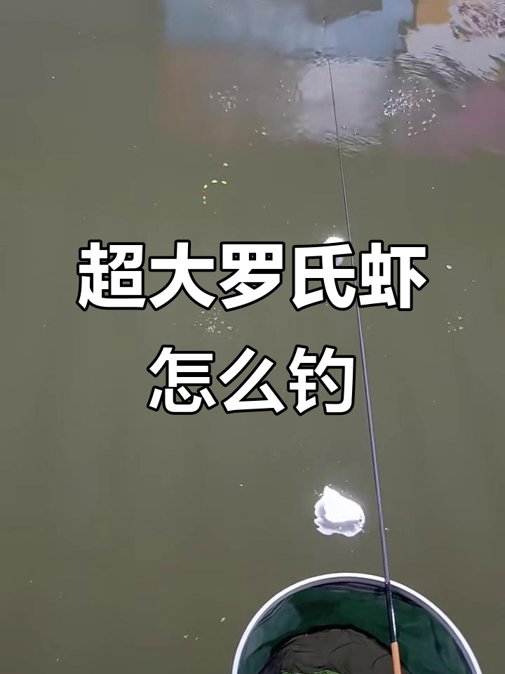 如何钓超大罗氏虾?技巧与装备全揭秘