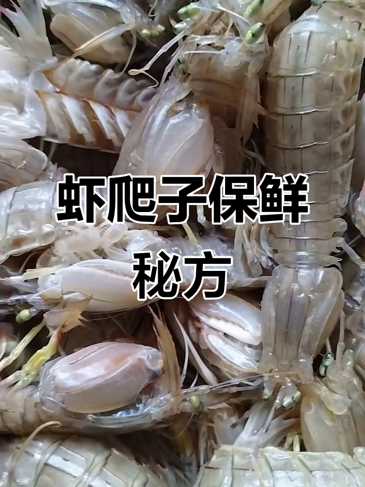 虾爬子如何隔夜不死?教你一招轻松保存