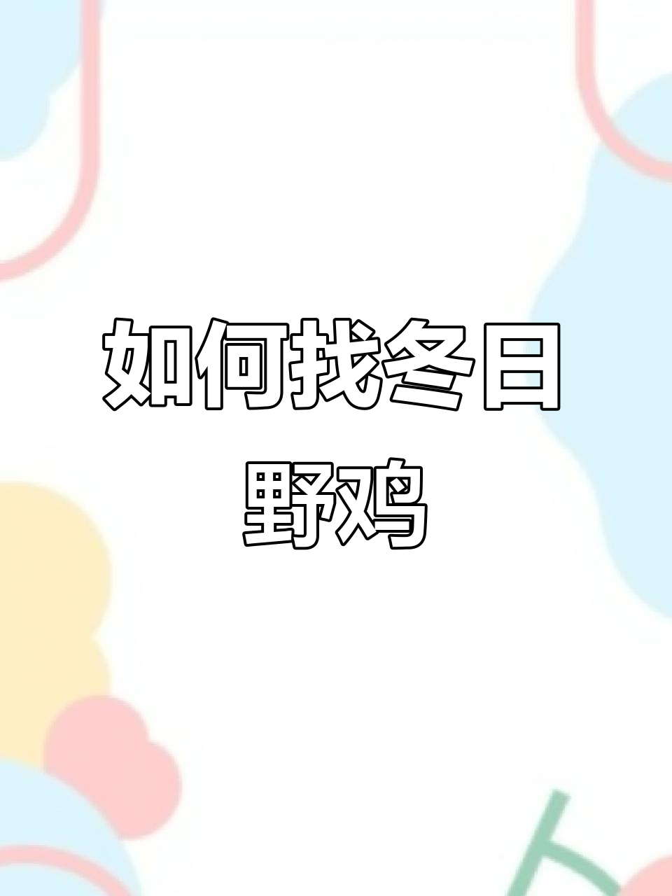 冬季野鸡觅食地揭秘,如何找到它们的足迹?
