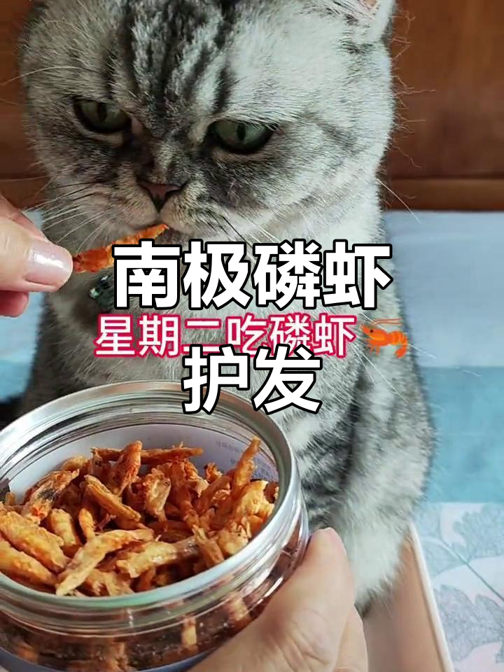 猫咪掉毛?试试南极磷虾冻干,营养又美味!