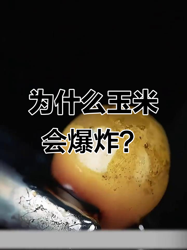 玉米爆开的原因竟然是这个,揭秘手摇爆米花机的奥秘